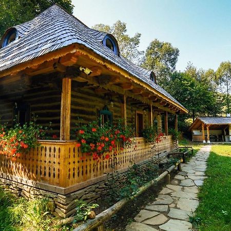 Casa Lu' Ion Villa Vişeu de Sus Eksteriør bilde