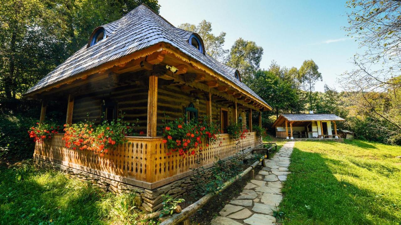 Casa Lu' Ion Villa Vişeu de Sus Eksteriør bilde
