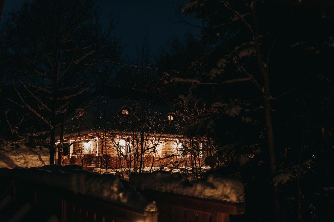 Casa Lu' Ion Villa Vişeu de Sus Eksteriør bilde
