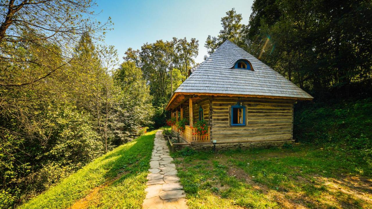 Casa Lu' Ion Villa Vişeu de Sus Eksteriør bilde