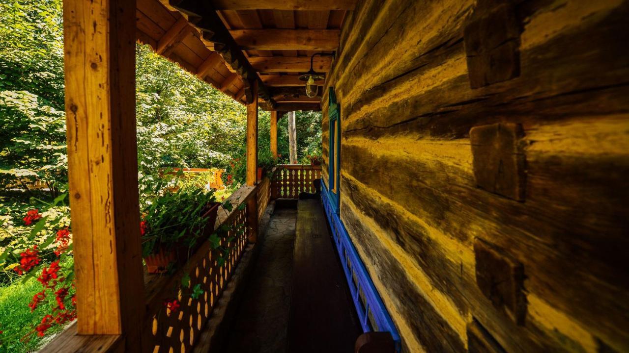 Casa Lu' Ion Villa Vişeu de Sus Eksteriør bilde