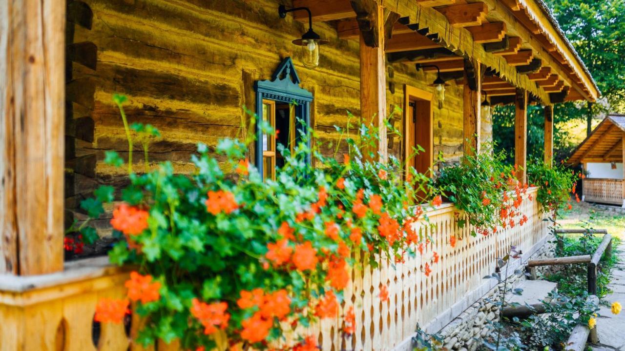 Casa Lu' Ion Villa Vişeu de Sus Eksteriør bilde