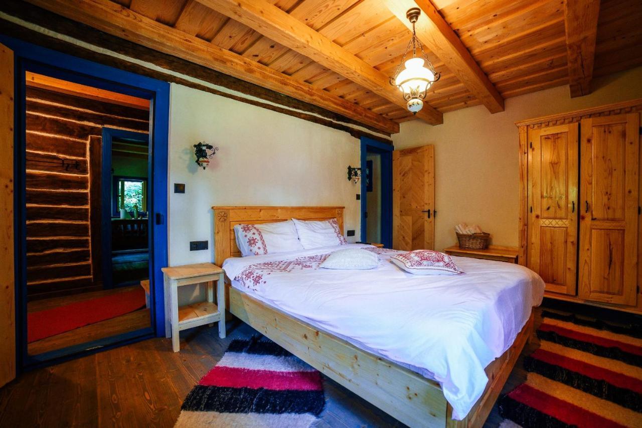 Casa Lu' Ion Villa Vişeu de Sus Eksteriør bilde
