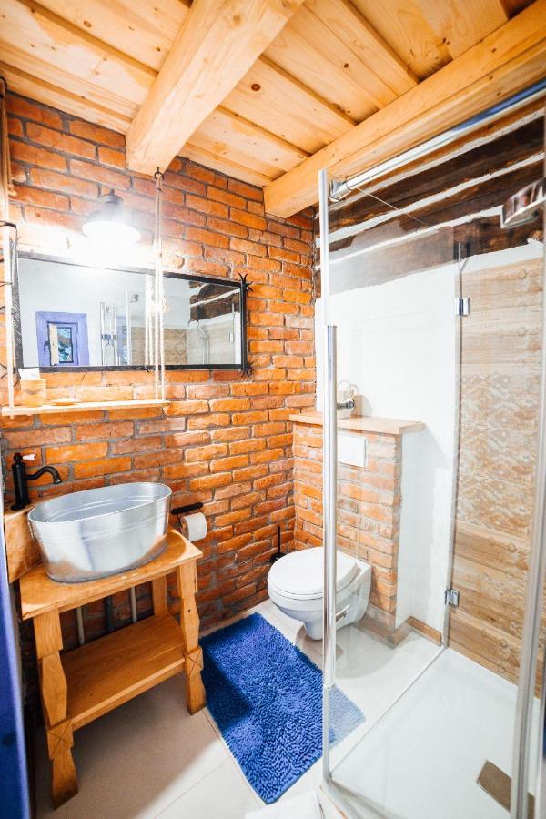 Casa Lu' Ion Villa Vişeu de Sus Eksteriør bilde