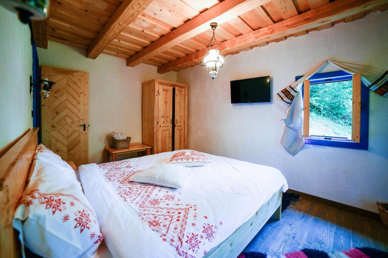 Casa Lu' Ion Villa Vişeu de Sus Eksteriør bilde