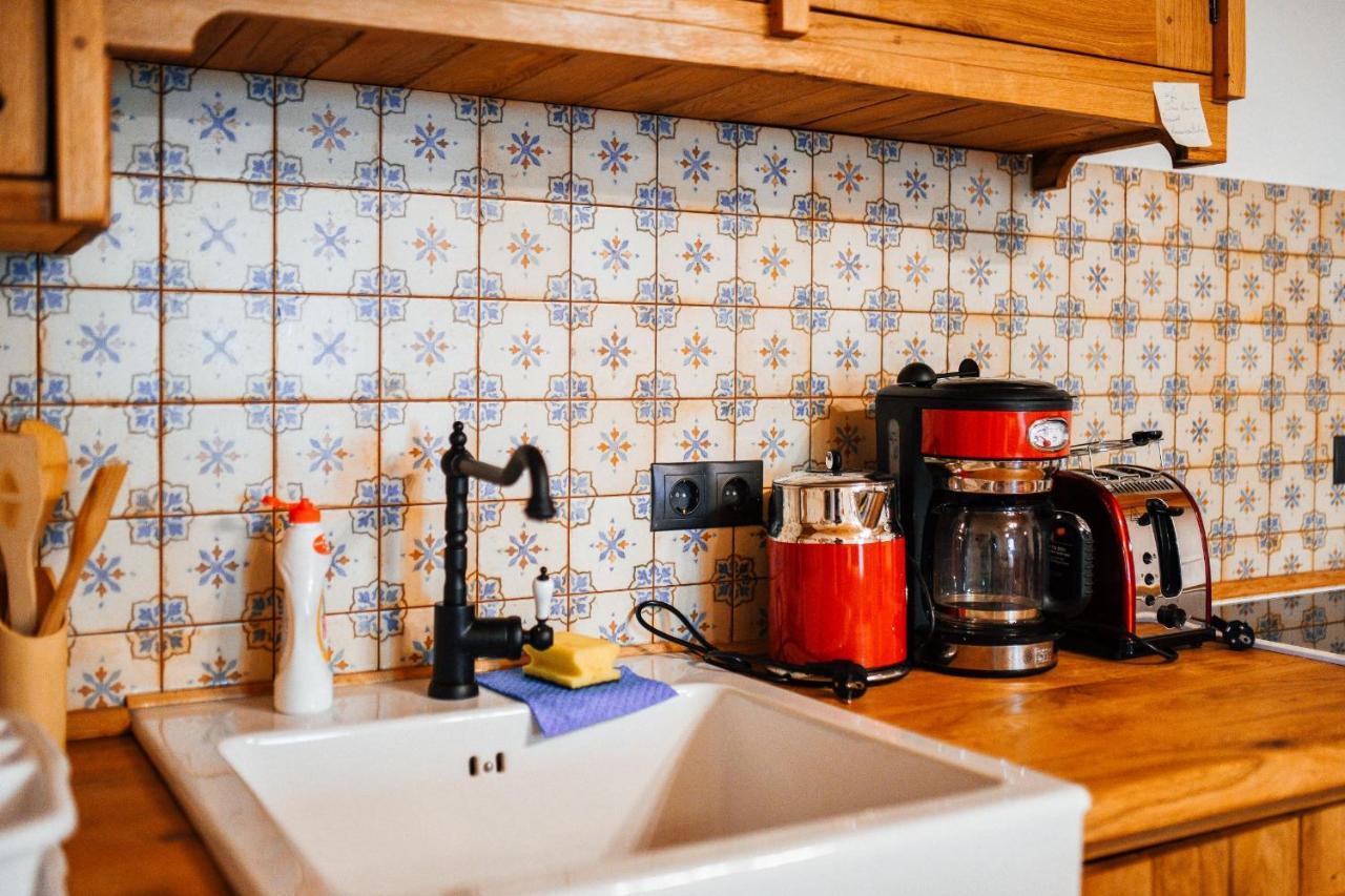 Casa Lu' Ion Villa Vişeu de Sus Eksteriør bilde
