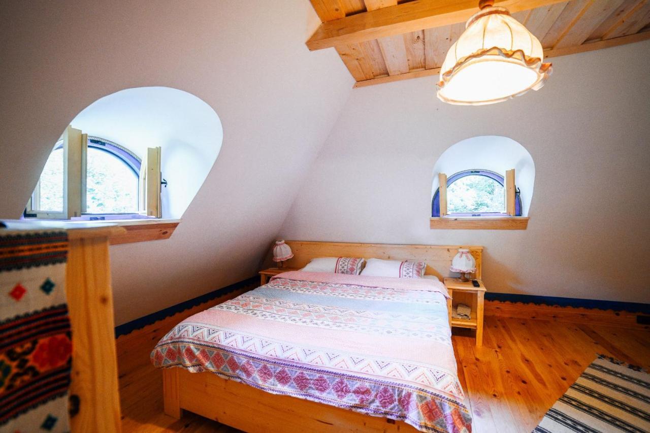 Casa Lu' Ion Villa Vişeu de Sus Eksteriør bilde
