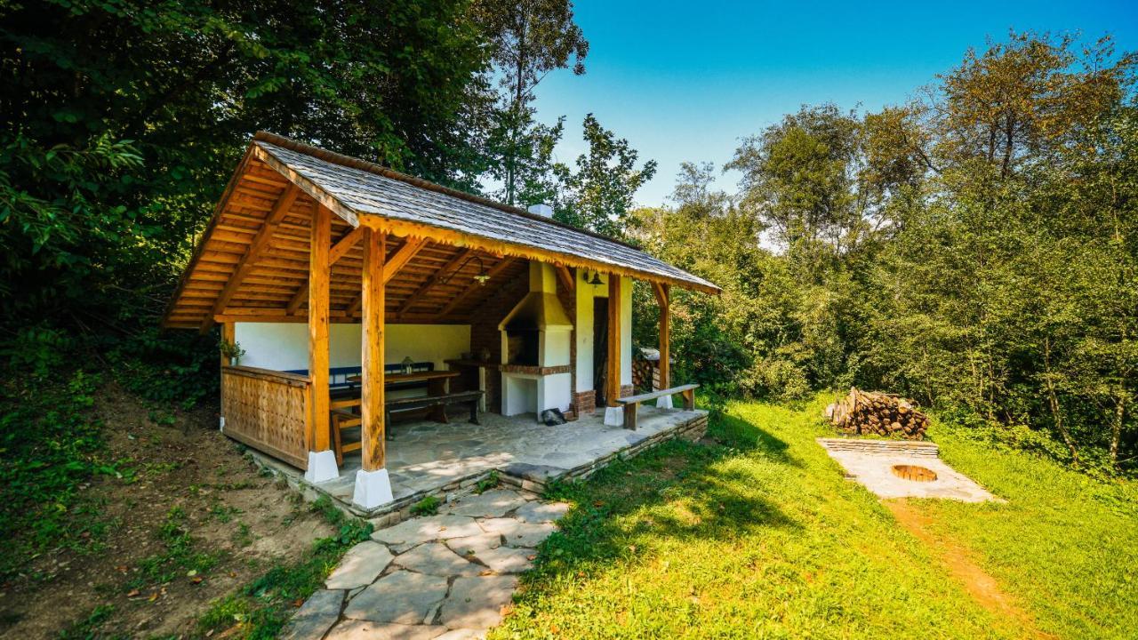Casa Lu' Ion Villa Vişeu de Sus Eksteriør bilde