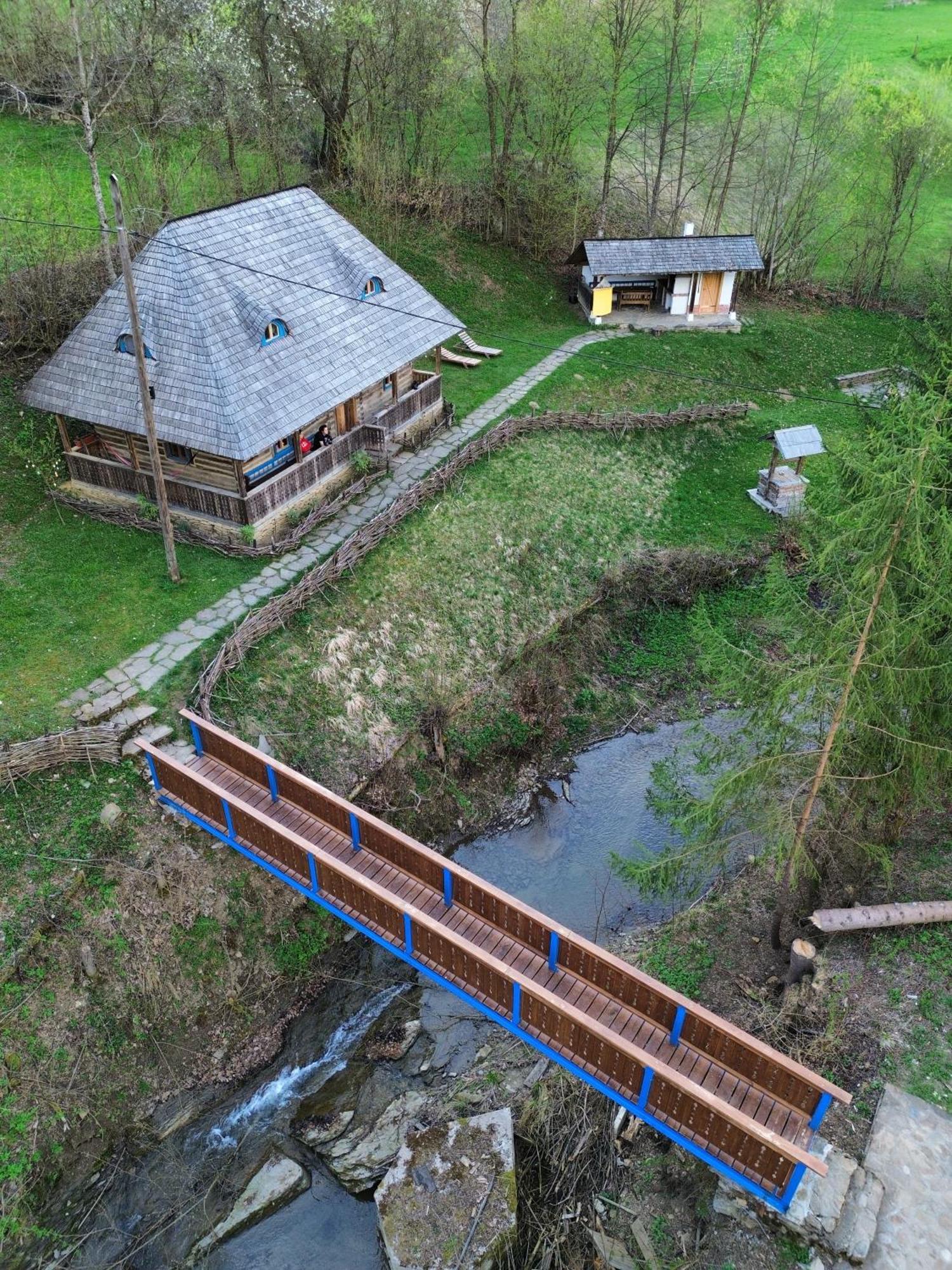 Casa Lu' Ion Villa Vişeu de Sus Eksteriør bilde