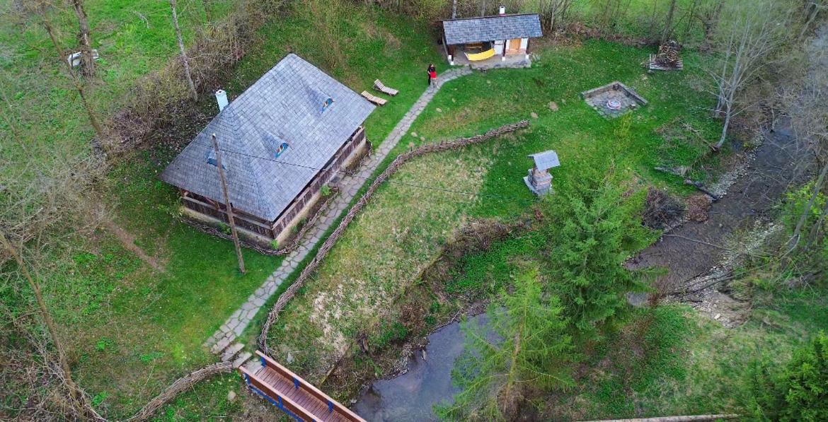 Casa Lu' Ion Villa Vişeu de Sus Eksteriør bilde