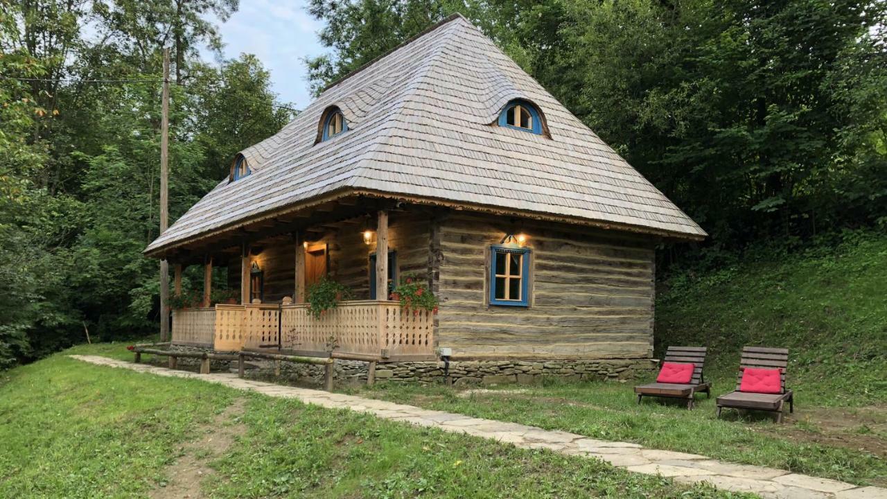 Casa Lu' Ion Villa Vişeu de Sus Eksteriør bilde