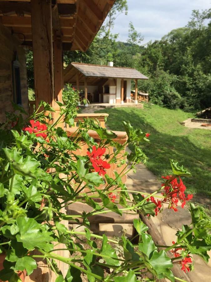 Casa Lu' Ion Villa Vişeu de Sus Eksteriør bilde