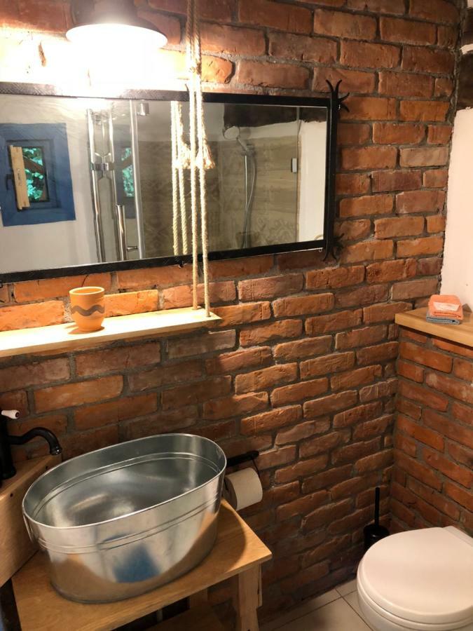 Casa Lu' Ion Villa Vişeu de Sus Eksteriør bilde