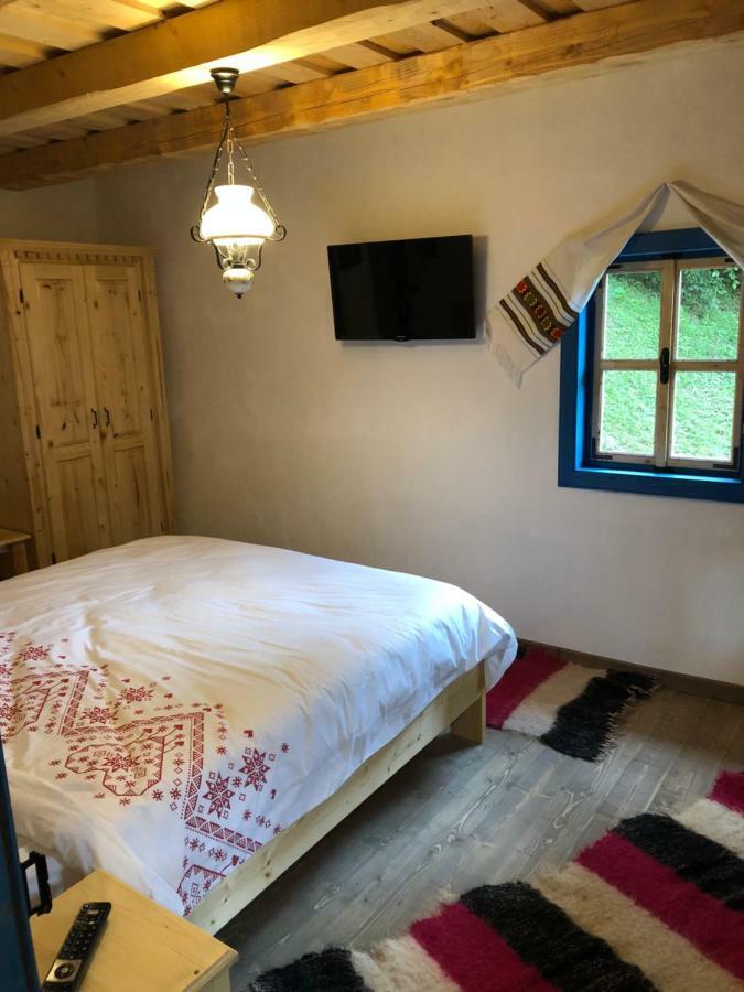 Casa Lu' Ion Villa Vişeu de Sus Eksteriør bilde