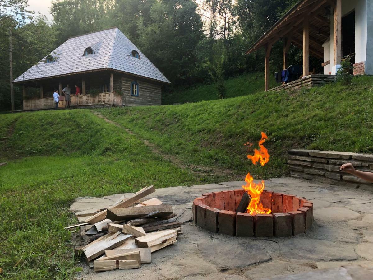 Casa Lu' Ion Villa Vişeu de Sus Eksteriør bilde