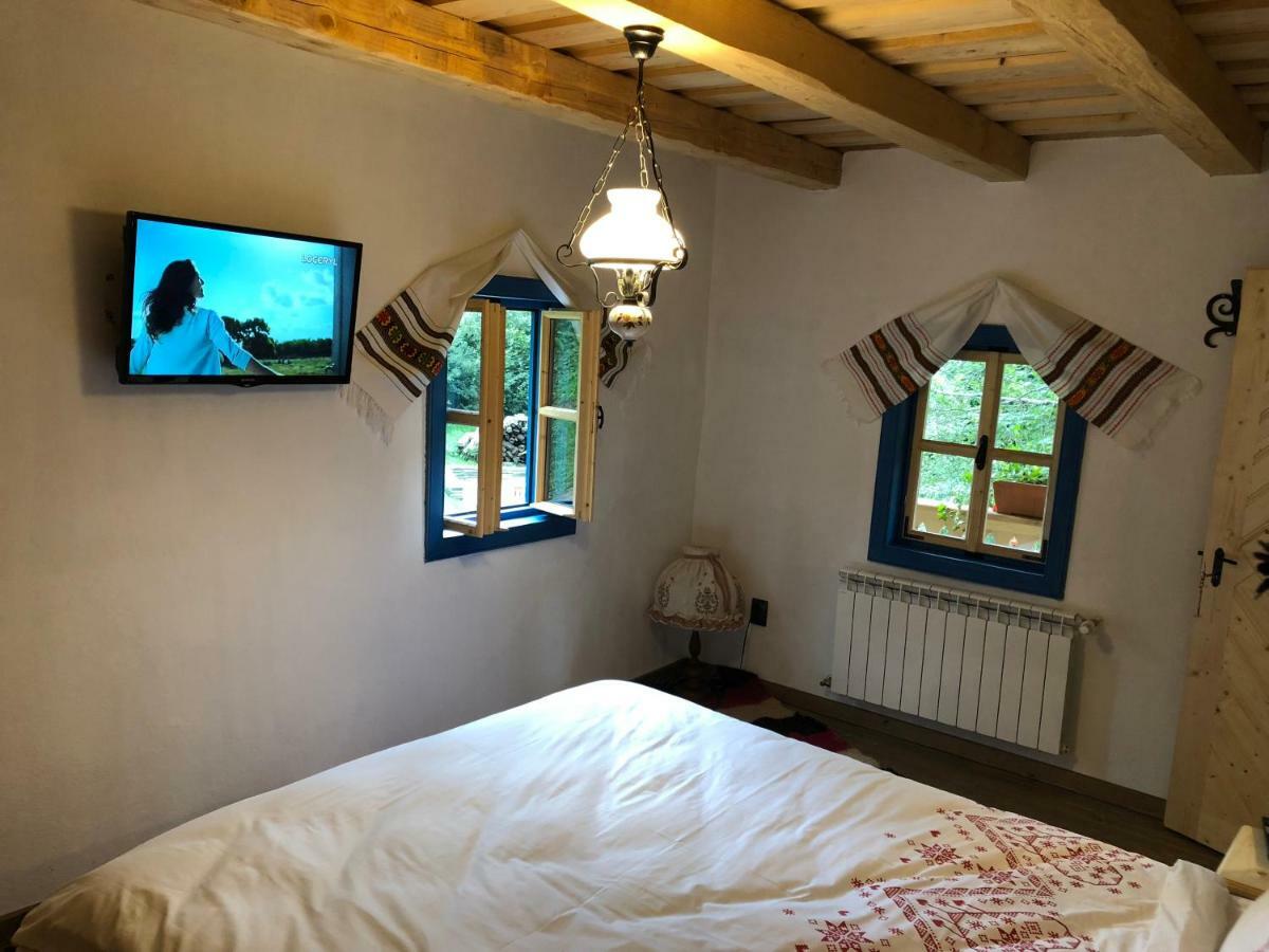 Casa Lu' Ion Villa Vişeu de Sus Eksteriør bilde